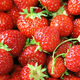 Image for article titled Rosé Berries Are an Abomination